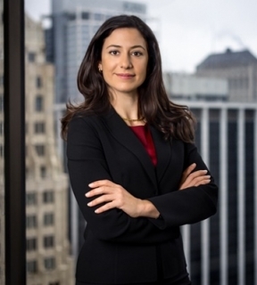 Christina A. Papavasiliou, Trial Attorney